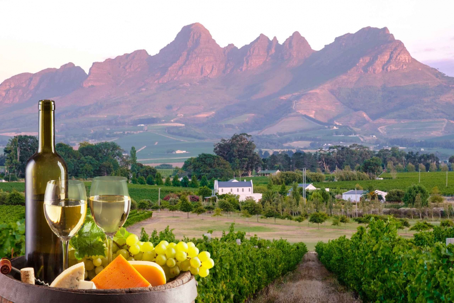 Vintur til Cape Town (Paarl, Stellenbosch og Franschhoek)