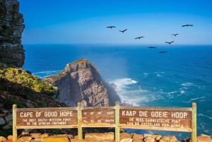 Cape Town: Cape of Good Hope & Penguins Day Tour with Pickup