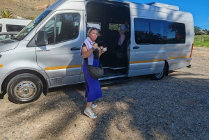 Cape Town: Cape of Good Hope & Penguins Day Tour with Pickup