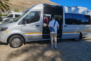 Cape Town: Cape of Good Hope & Penguins Day Tour with Pickup