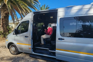 Cape Town: Cape of Good Hope & Penguins Day Tour with Pickup