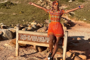 Cape Town: Cape of Good Hope & Penguins Day Tour with Pickup