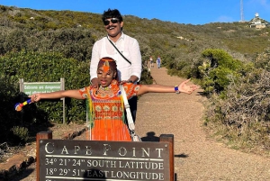Cape Town: Cape of Good Hope & Penguins Day Tour with Pickup