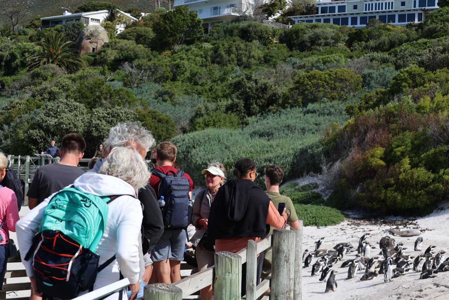 Cidade do Cabo: Excursão de um dia a Cape Point e Boulders Beach