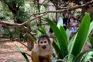 Cape Town for Children: Family Tour