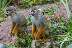 Cape Town for Children: Family Tour