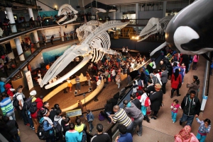 Cape Town for Children: Family Tour