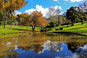 Cape Town for Children: Family Tour