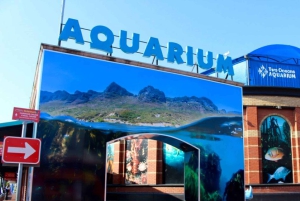 Cape Town for Children: Family Tour