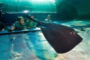 Cape Town for Children: Family Tour