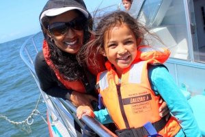 Cape Town: Gansbaai Eco-Friendly Shark Cage Diving Cruise