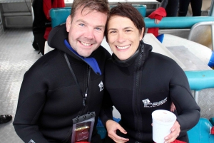 Cape Town: Gansbaai Eco-Friendly Shark Cage Diving Cruise