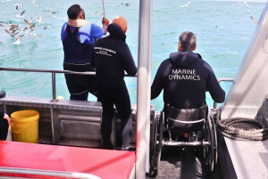 Cape Town: Gansbaai Eco-Friendly Shark Cage Diving Cruise