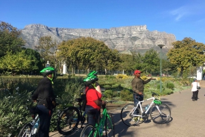Cape Town Guided City Cycling Heritage Tour - Private Tour