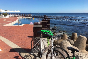 Cape Town Guided City Cycling Heritage Tour - Private Tour