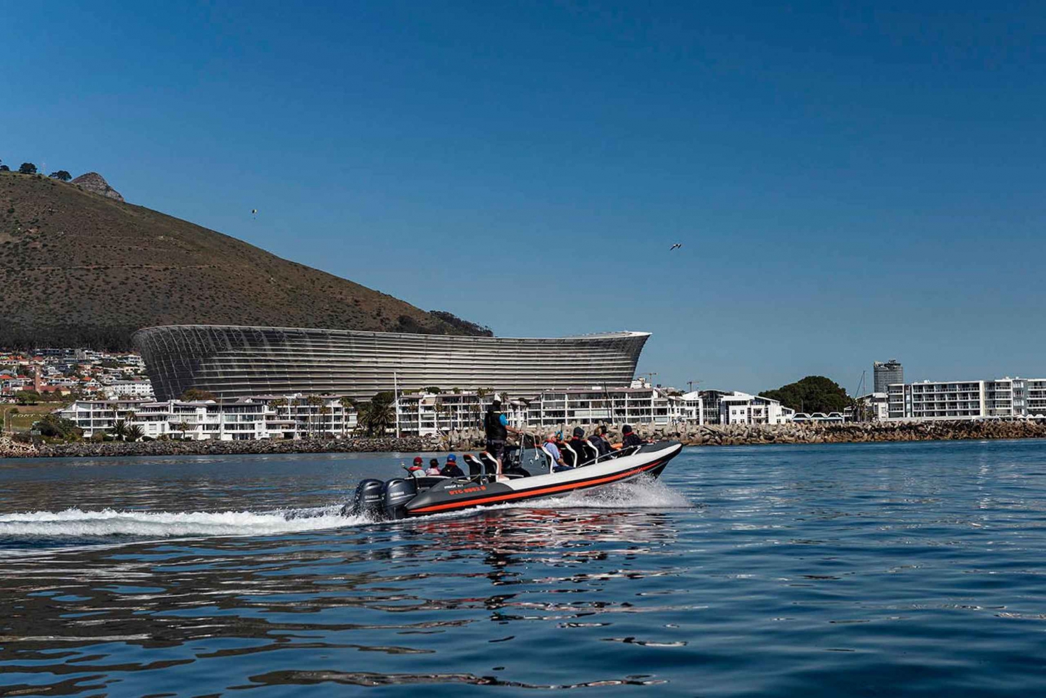 Cidade do Cabo: Cruzeiro guiado pela vida selvagem marinha e excursão a Cape Point