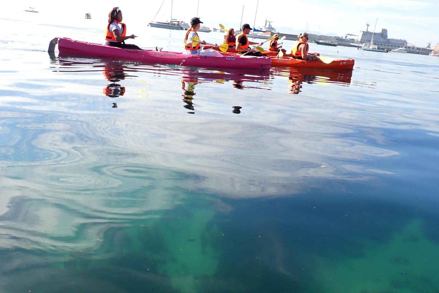 Cape Town: Guidet kajakkeventyr i Simon's Town