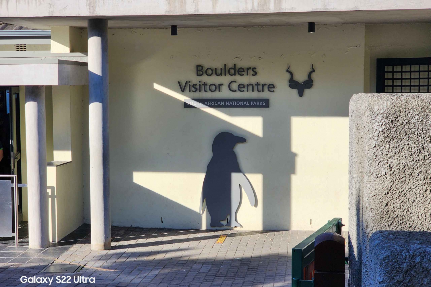 Ciudad del Cabo: excursión privada de medio día a la península del Cabo con pingüinos