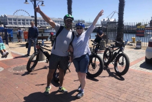 Cape Town: Half-Day e-Bike City Tour