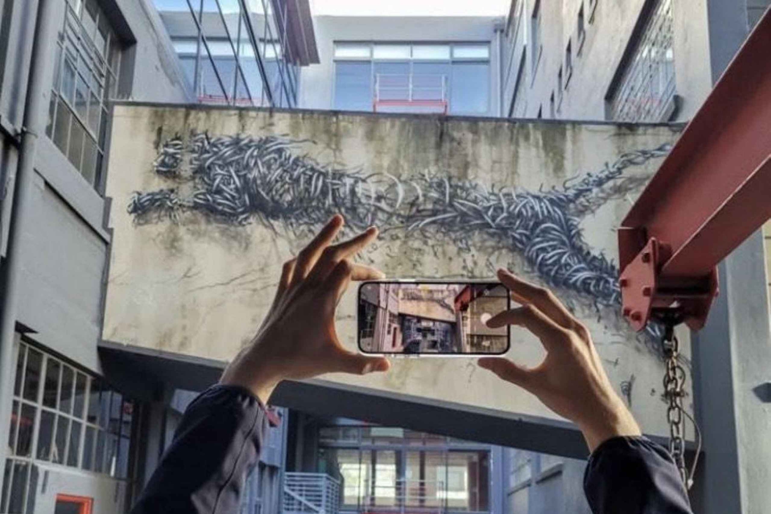 Cape Town: Half-Day Street Art Tour