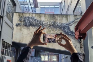 Cape Town: Half-Day Street Art Tour