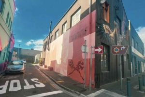Cape Town: Half-Day Street Art Tour