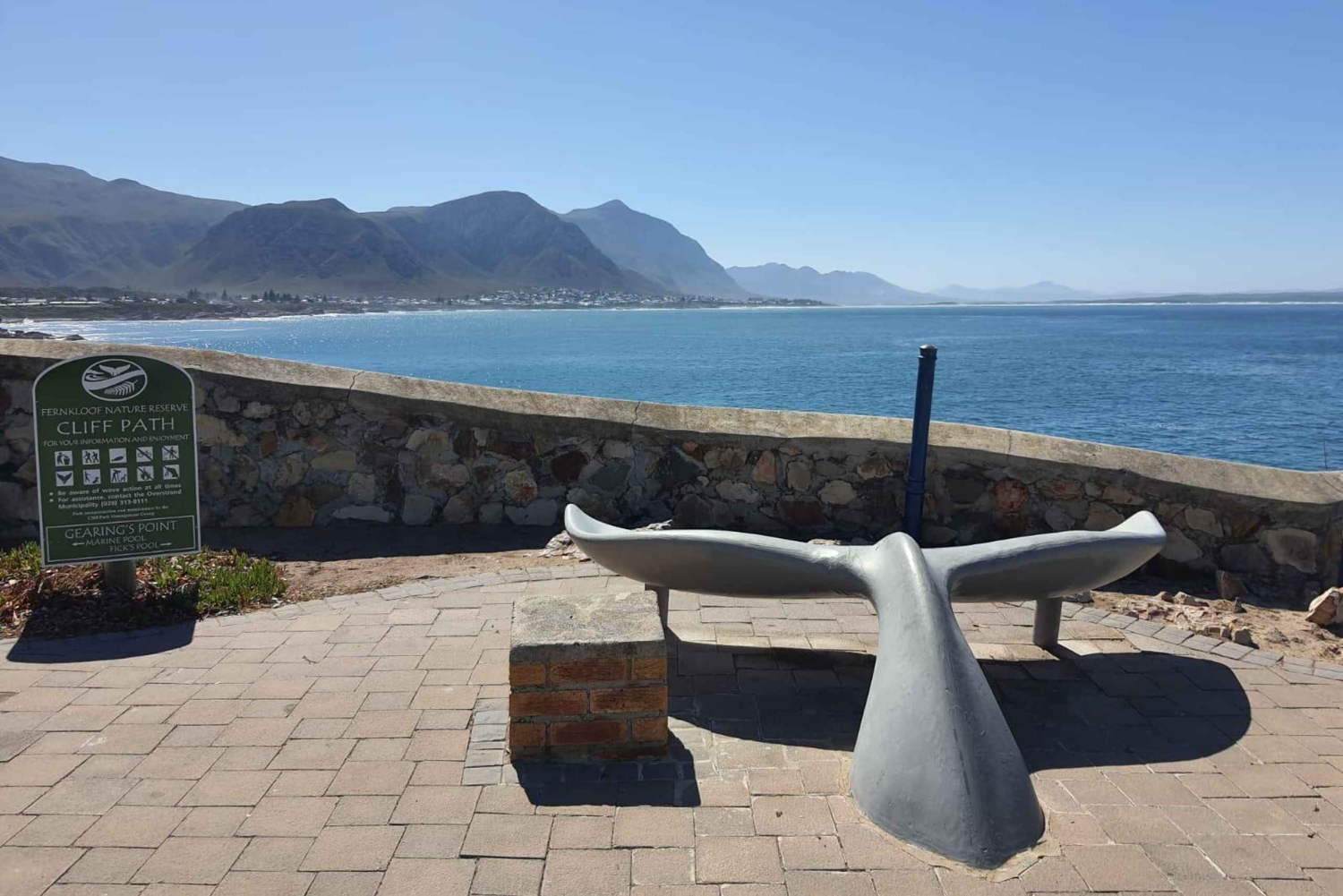 Kapkaupunki: Hermanusin valaidenkatselu ja pingviinit jaetulla veneellä