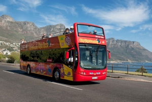 Cape Town: Hop-On Hop-Off Bus Tour with Optional Cruise
