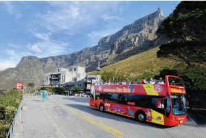 Cape Town: Hop-On Hop-Off Bus Tour with Optional Cruise