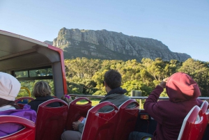 Cape Town: Hop-On Hop-Off Bus Tour with Optional Cruise