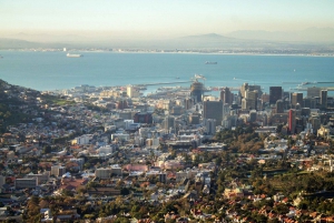 Cape Town: Hop-On Hop-Off Bus Tour with Optional Cruise