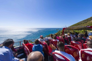 Cape Town: Hop-On Hop-Off Bus Tour with Optional Cruise