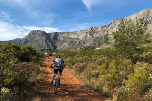 Kaapstad: mountainbiketocht langs de Tafelberg