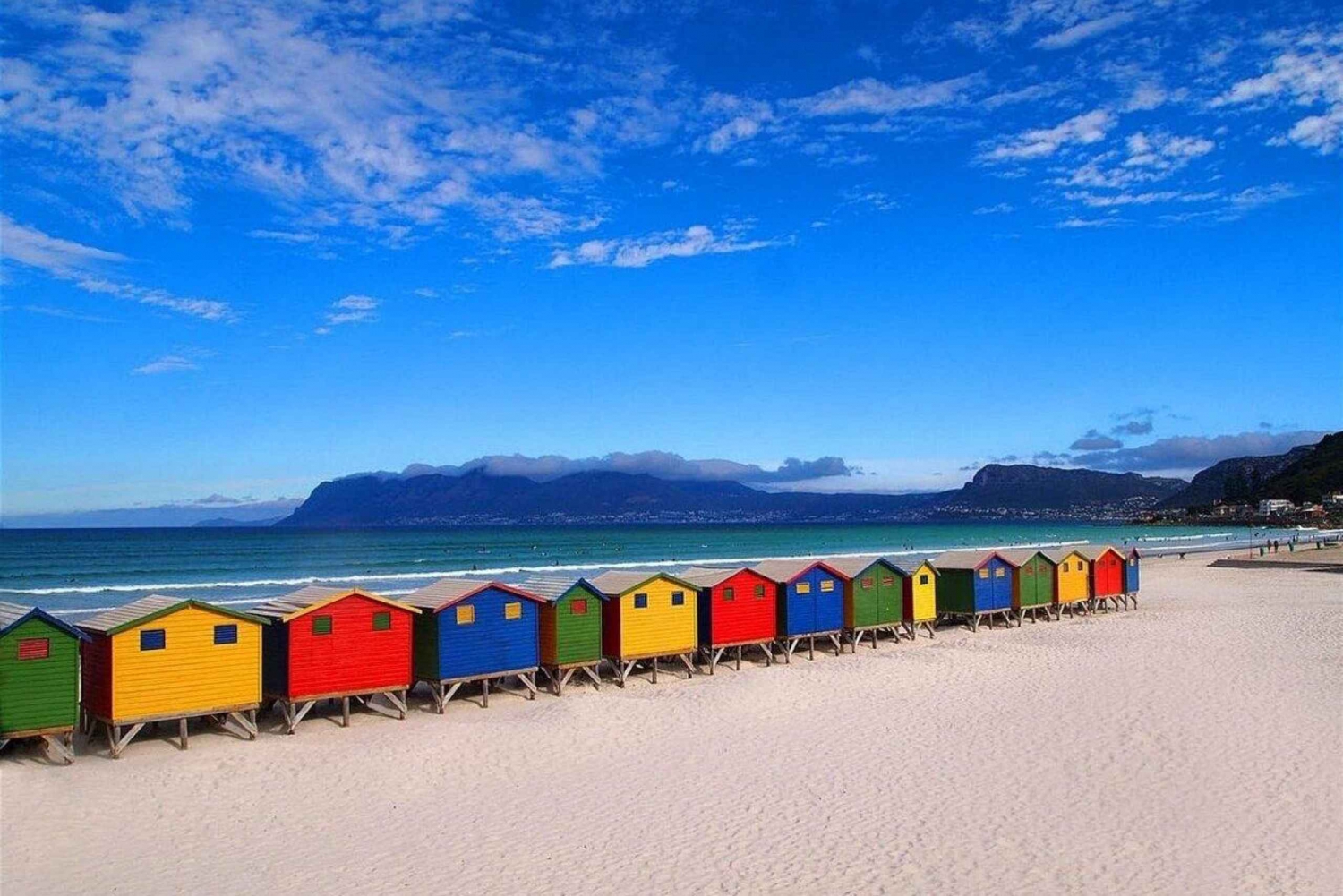 Cape Town: Penguins & Cape of Good Hope Half-Day Tour