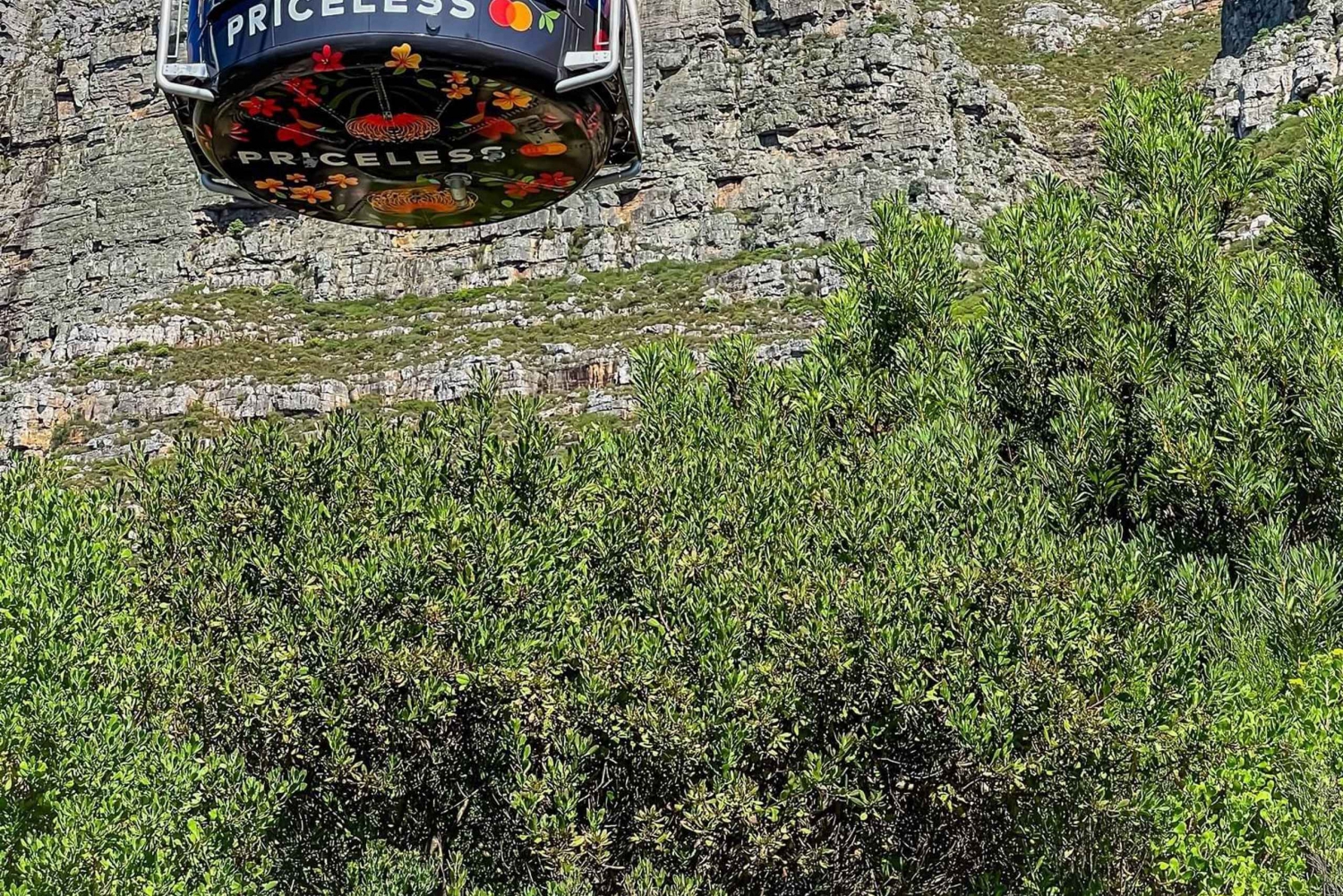 ケープタウン: プライベート市内観光ツアー