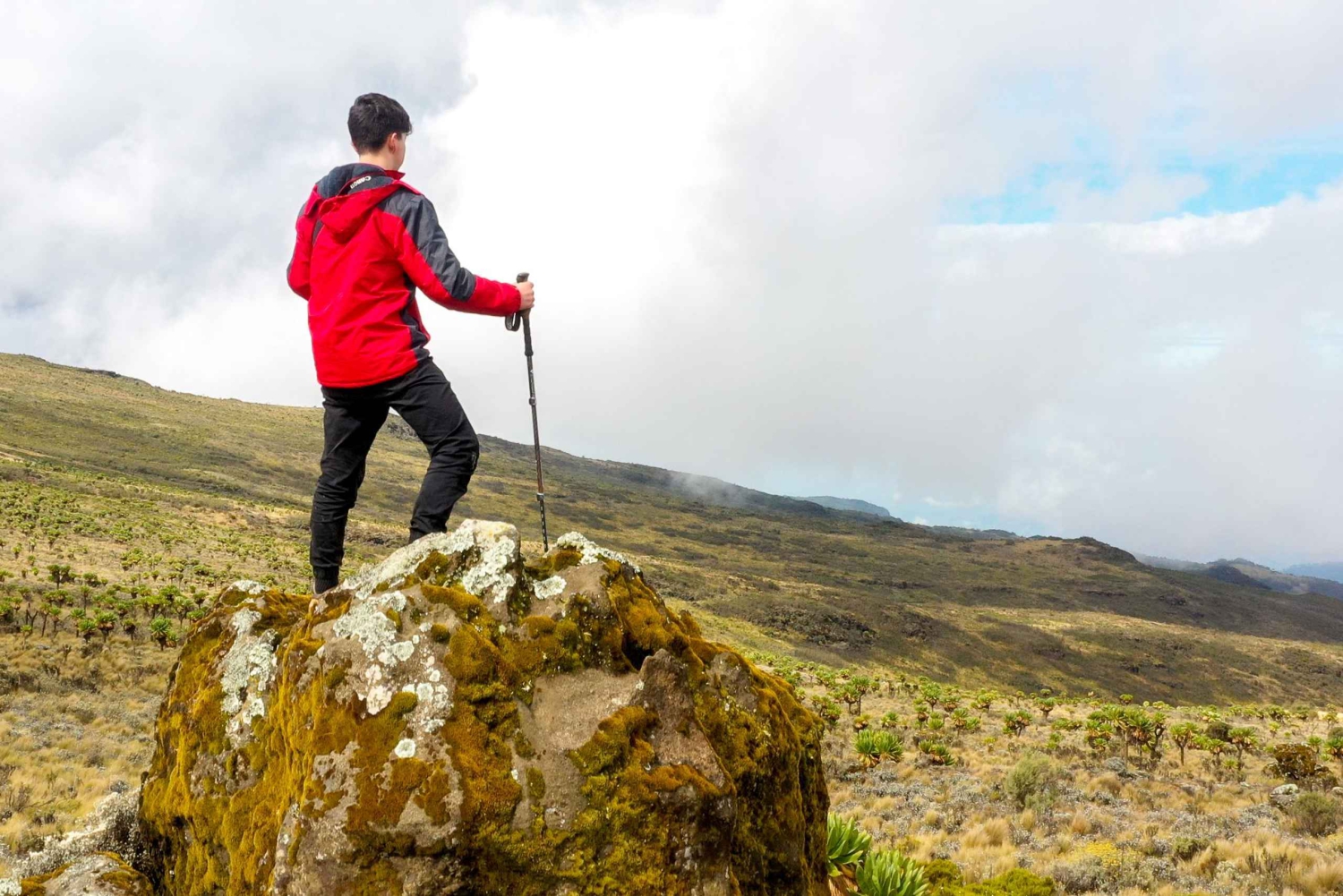 Cidade do Cabo: Caminhada privada guiada pela Table Mountain com serviço de busca