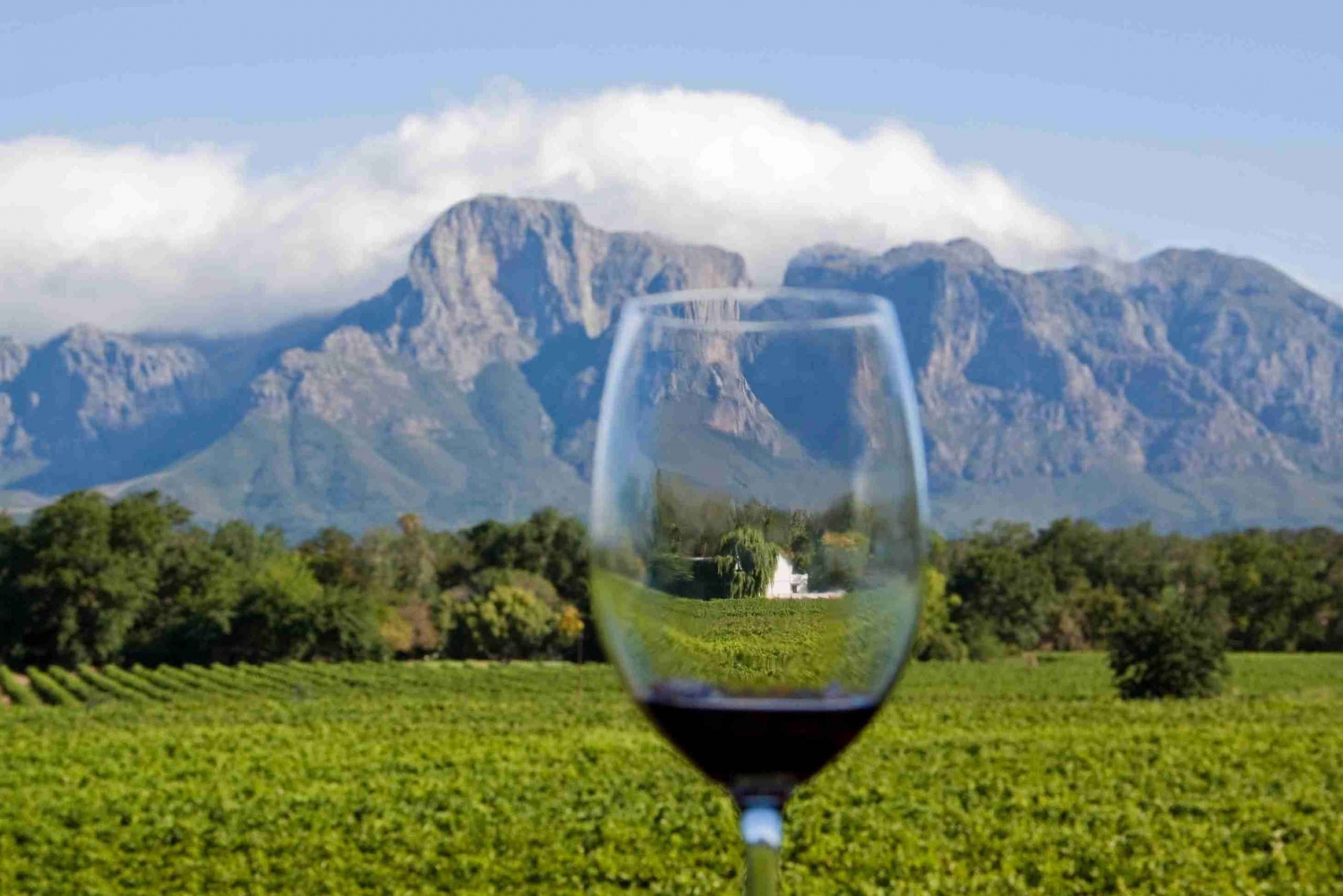 Le Cap : visite privée de la péninsule du Cap et des vignobles