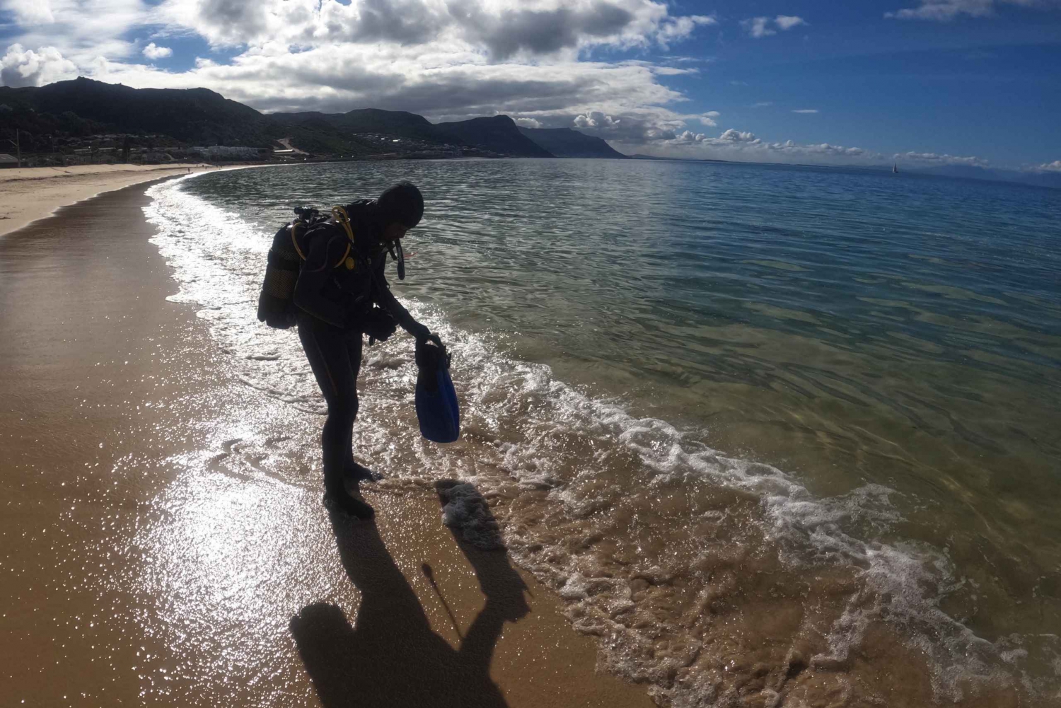 Cape Town: Dykkeroplevelse for begyndere