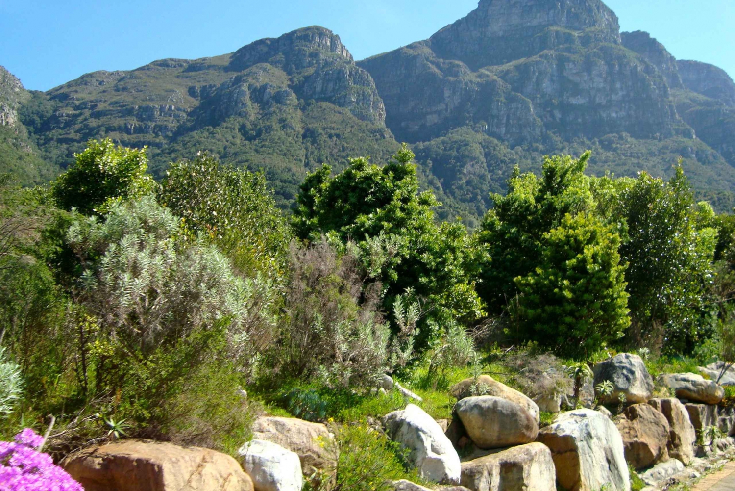 Kaapstad: Wandeling door de Skeleton Kloof en Kirstenbosch Tuinen