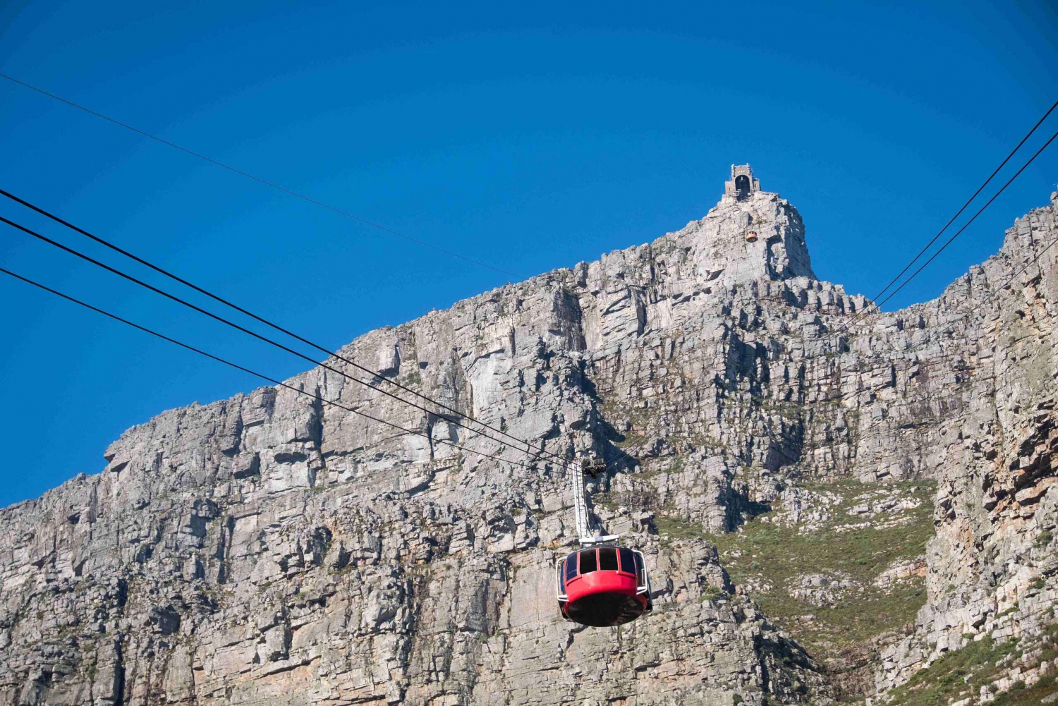 Cape Town: Tur til Taffelbjerget, Cape Point og pingviner