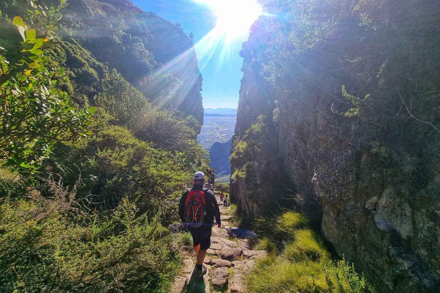 Le Cap : randonnée en groupe sur la montagne de la Table via les gorges de Platteklip