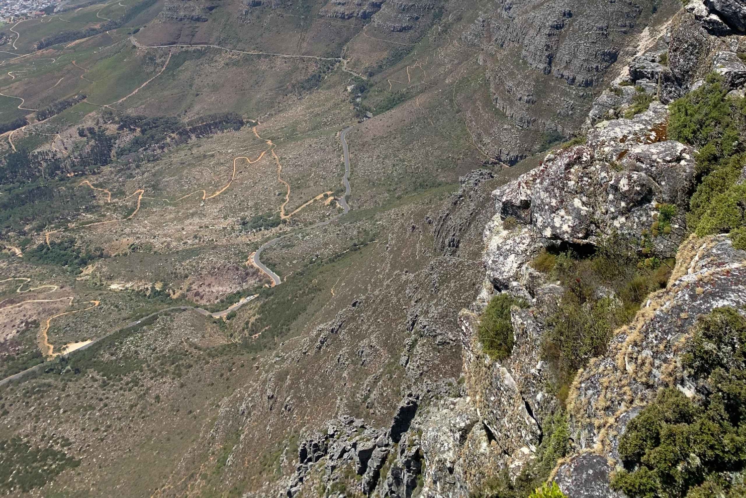Kapstadt: Geführte Wanderung auf den Tafelberg/Seilbahnfahrt hinunter