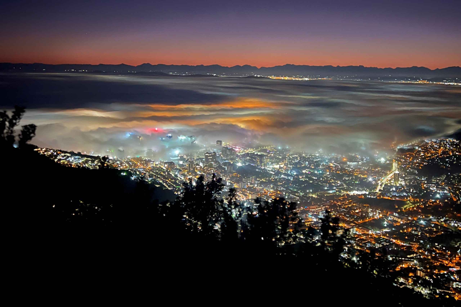 Le Cap : randonnée sur la montagne de la Table avec un guide expérimenté