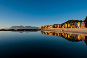 Cape Town: Table Mountain, Penguins & Cape of Good Hope Tour