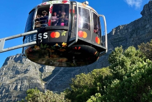 Cape Town: Table Mountain, Penguins & Cape of Good Hope Tour