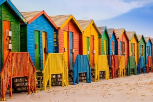 Cape Town: Table Mountain, Penguins & Cape of Good Hope Tour