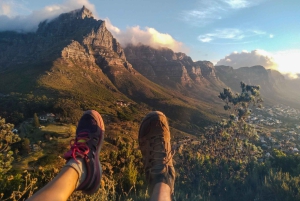 Cape Town: Table Mountain, Penguins & Cape of Good Hope Tour