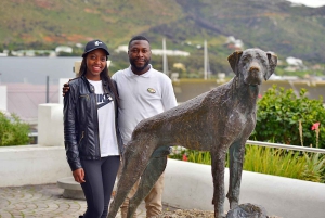 Cape Town: Table Mountain, Penguins & Cape of Good Hope Tour