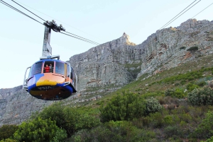 Cape Town: Table Mountain, Penguins & Cape of Good Hope Tour