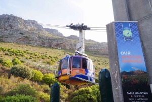 Cape Town: Table Mountain, Penguins & Cape of Good Hope Tour